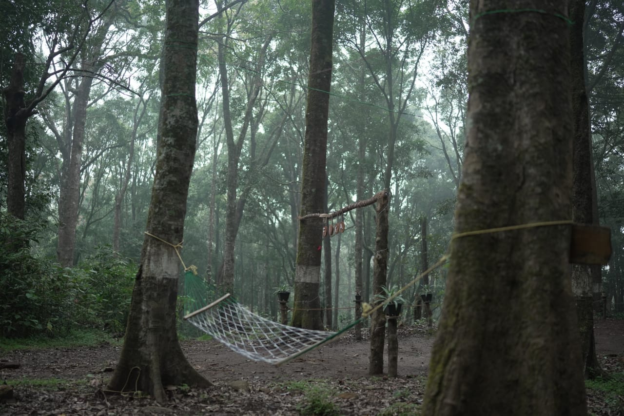 Natural Swing in Camping Location Natural Swing in Camping Location
