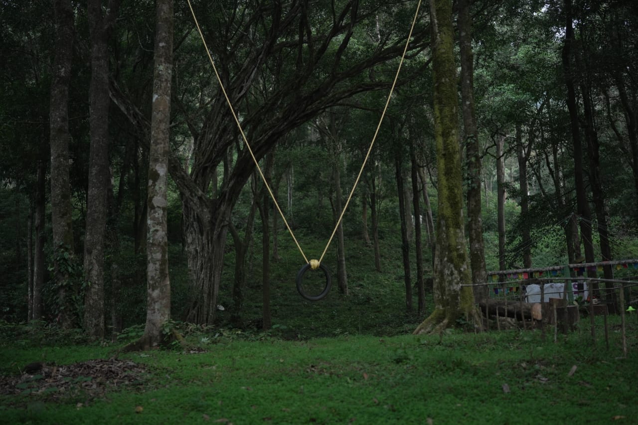 Swing in Tent Stay