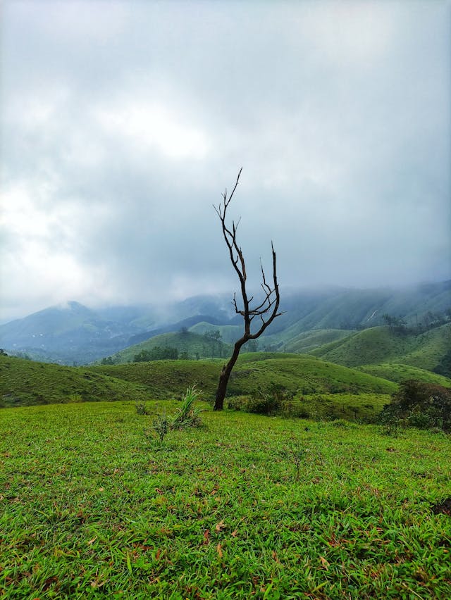 Vagamon