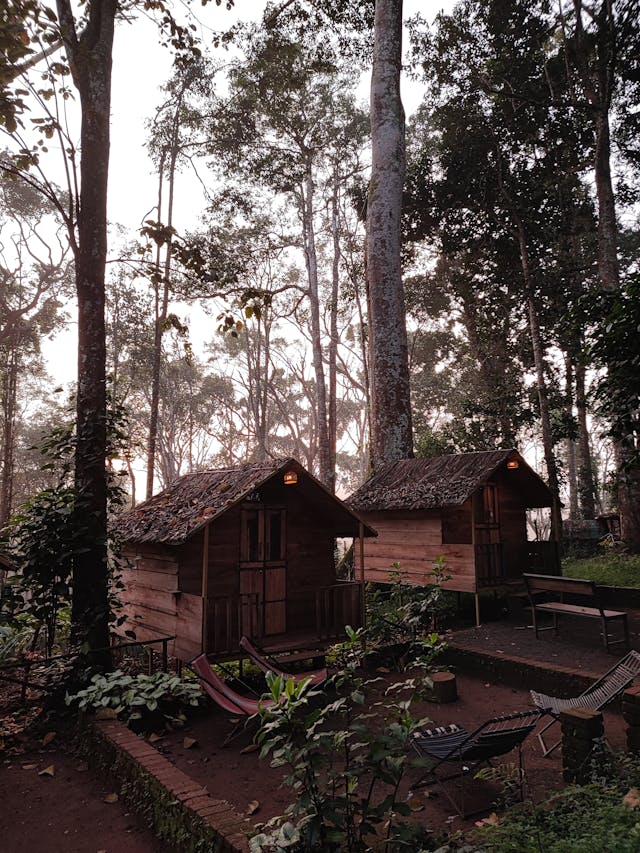 Wayanad
