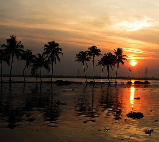 Ashtamudi Lake or Ashtamudi Kayal