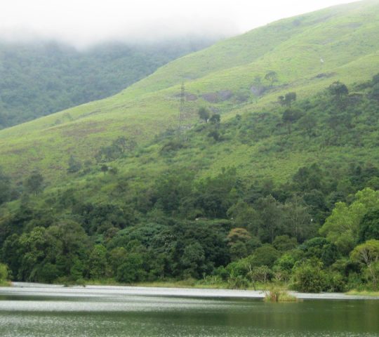 Gavi-Kakki