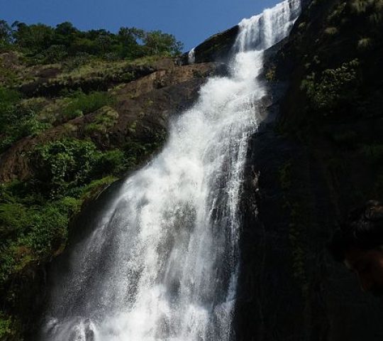 Palaruvi Waterfalls