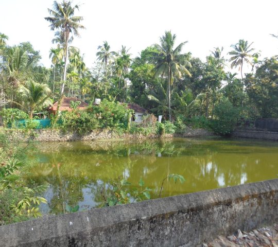 Muthukulam