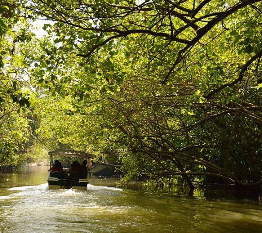 Poovar Island and backwaters