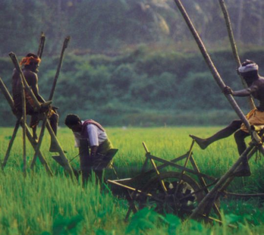 Kuttanad