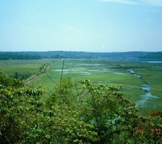 Chittumala