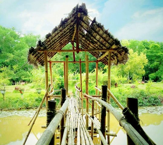 Noor lake Tirur Malappuram