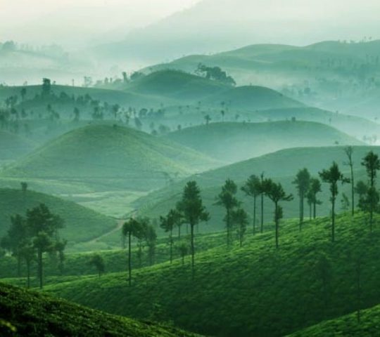 Valparai
