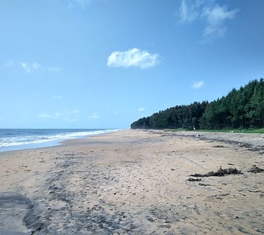 Chavakkad Beach