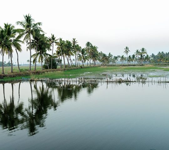 Cherthala