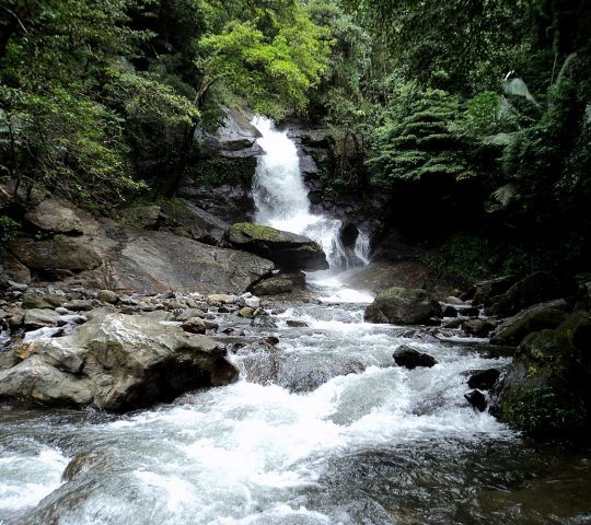 Meenvallam Waterfalls