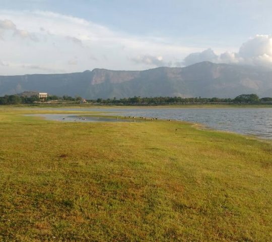 Meenkara Dam