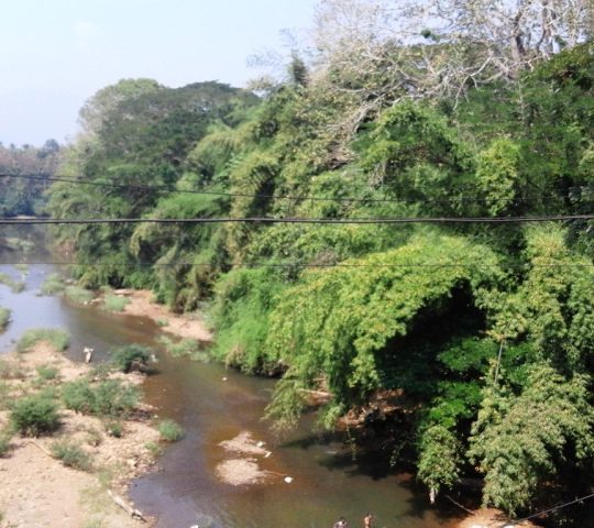 Nilambur