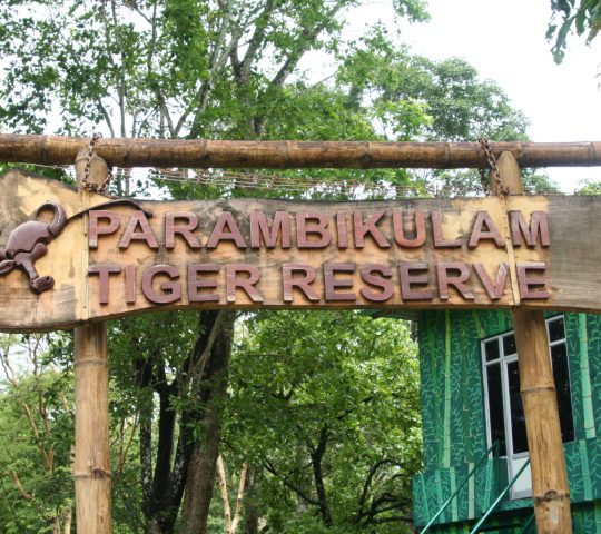 Parambikulam Tiger Reserve