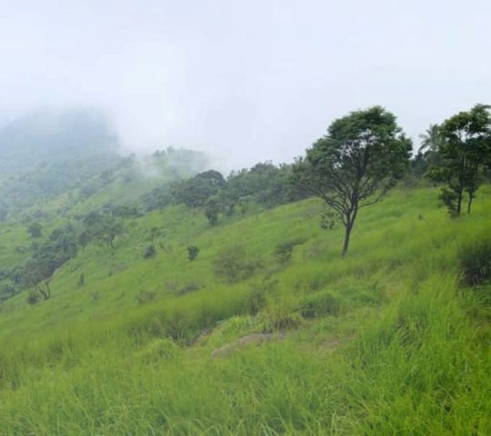 Kodikuthimala