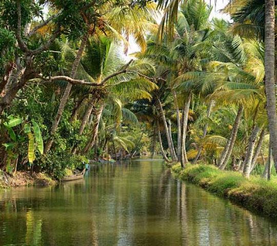 Mannanam Backwaters
