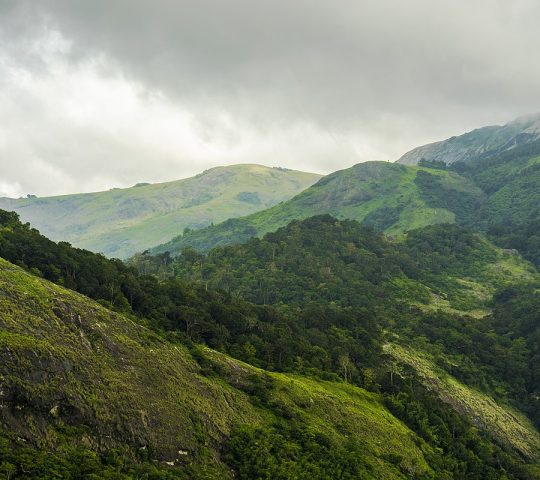 Nelliyampathy Hill ranges