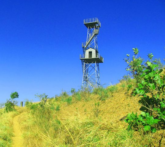 Pakshipathalam