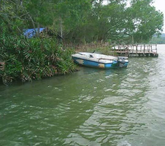 Ponnumthuruthu Island