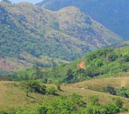 Kottathavalam