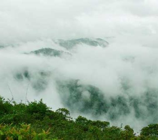 Neelimala Viewpoint
