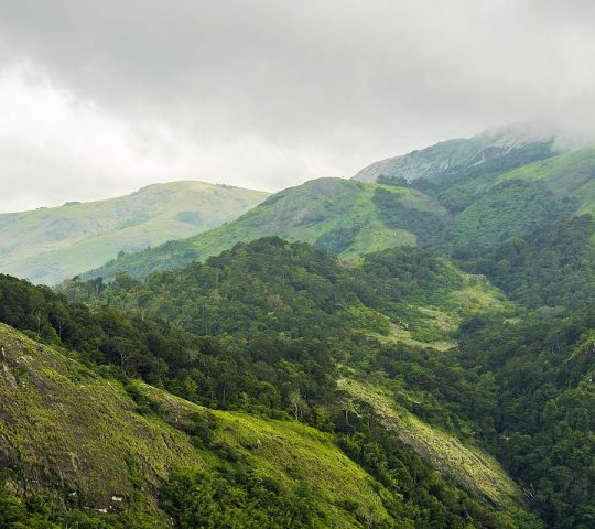 Vythiri