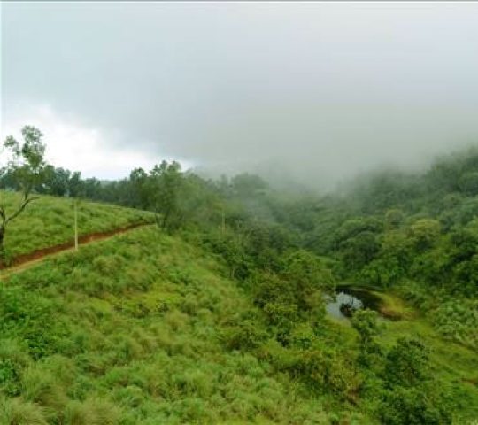 Vazhikkadavu