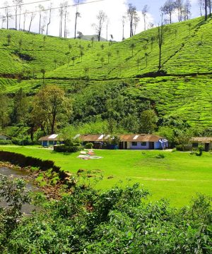 3D 2N Munnar Tour Package