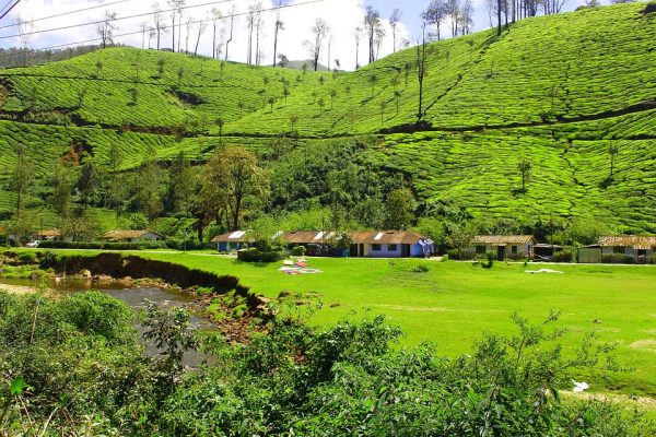 3D 2N Munnar Tour Package