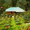3D 2N Munnar Tour Package - Image 3