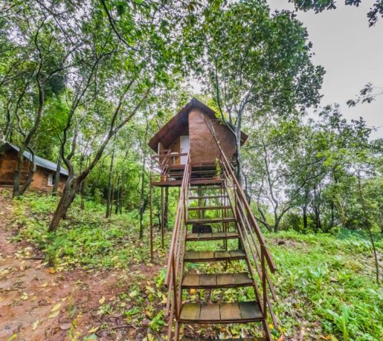 ReginaSilva Camping & Nature Resort Paithalmala Kannur