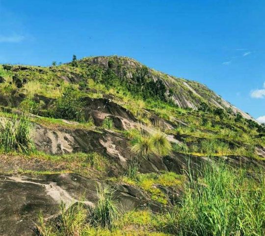 Kaduvakuzhi Viewpoint