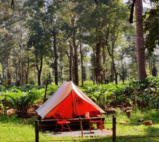 Wood Monks Camping Wayanad