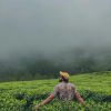 4 Days 3 Night Munnar Tour Package - Image 4