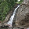 4 Days 3 Night Wayanad Tour Package - Image 3
