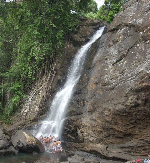 Explore Meesapulimala on a Budget