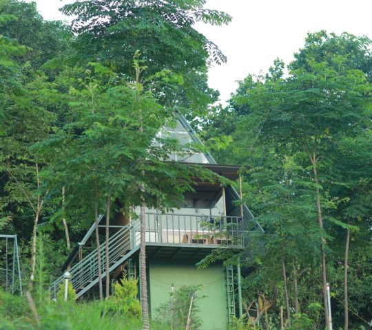 Angels Nest Mud House Stay Wayanad