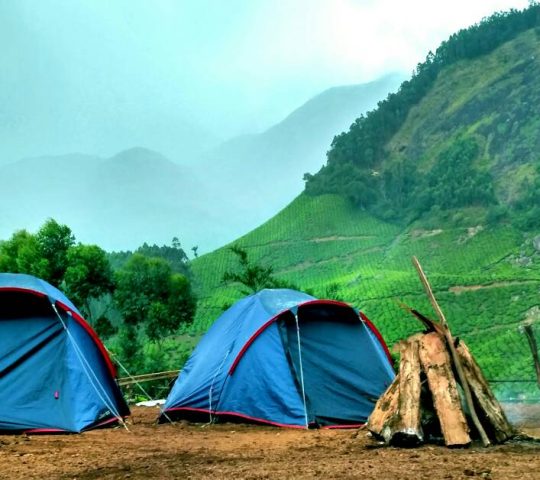 Tea Plantation Camping in Munnar Kerala