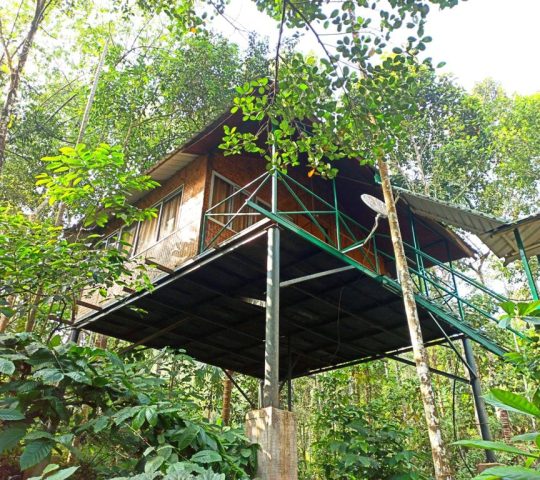 The Coffee County Resorts Wayanad Unlimited Swimming Pool