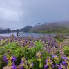 3D 2N Munnar Tour Package - Image 2