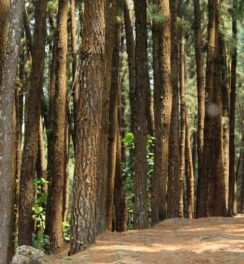Kerala to Hyderabad tour Package by Train