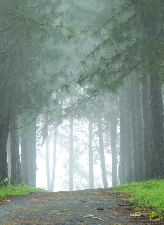 Munnar