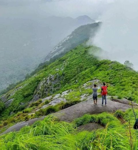 Aluva to Munnar KSRTC Bus Timings & Travel Guide 2025