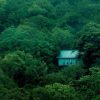 4 Days 3 Night Wayanad Tour Package - Image 2