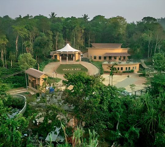 Maple Ash Resort