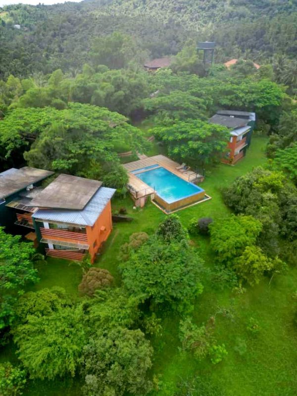 2 Night 3 Days Wayanad Package