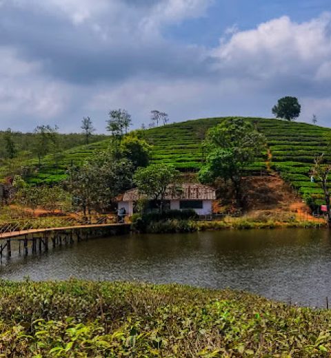 Pool View Suite with Jacuzzi & Swimming pool in Vagamon