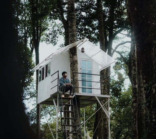 Tree Hut Stay wayanad 900 Kandi