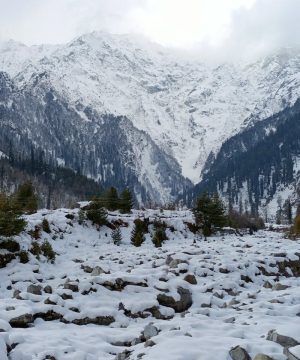 Kerala to Manali Tour Package